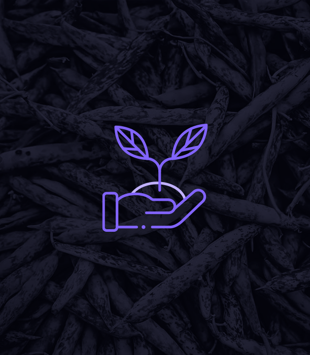 Sustainable Future of Food, rize etf, Velmorin Bridge Capital Invest europe, sustainable